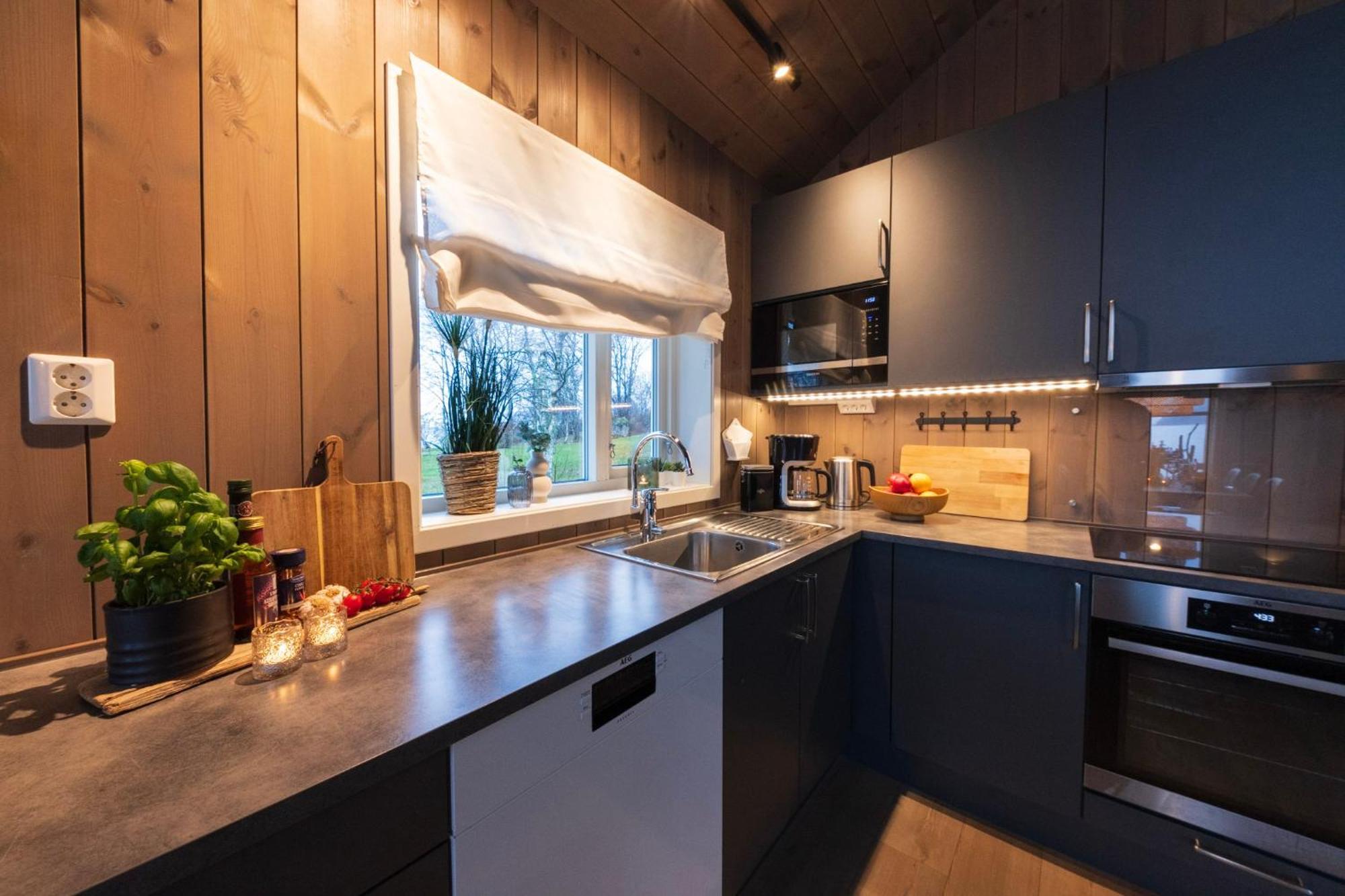 With Unmatched View In Jolster Feriehus *